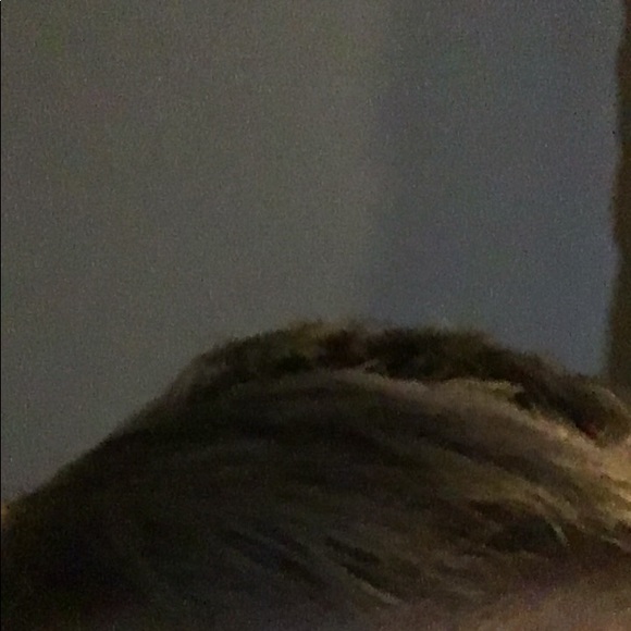 mcalpinstar23